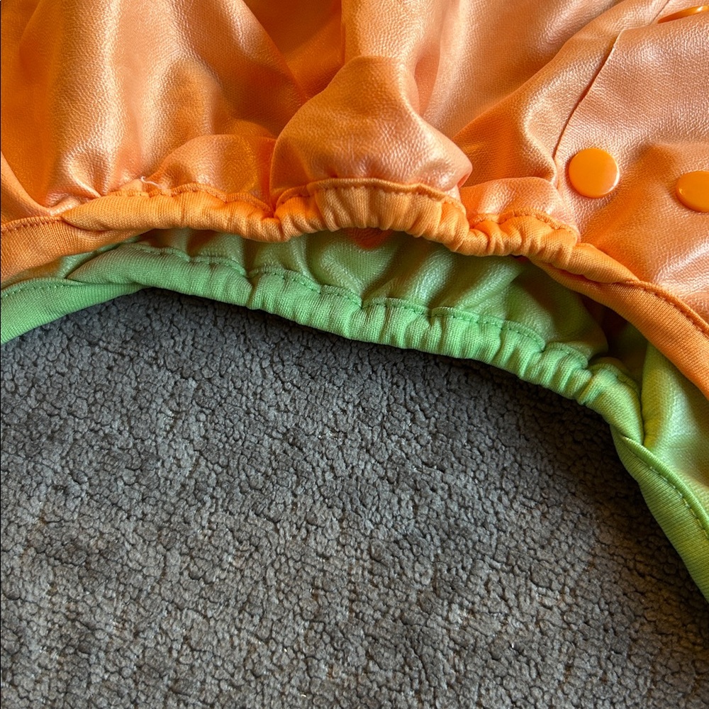 Two Cloth Diaper Covers ⭐️ - Picture 3 of 6